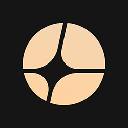 APX Finance logo