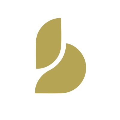 Baton logo