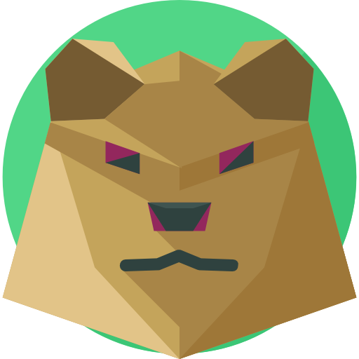 Bear Finance logo