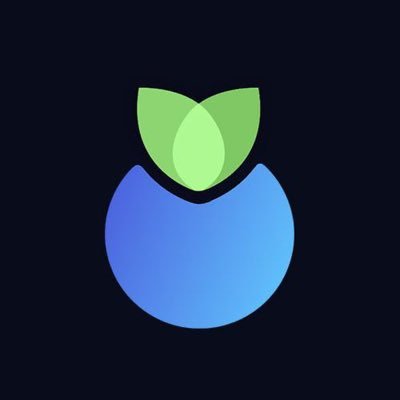 Blueberry logo