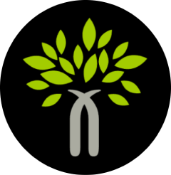Bodh Finance logo