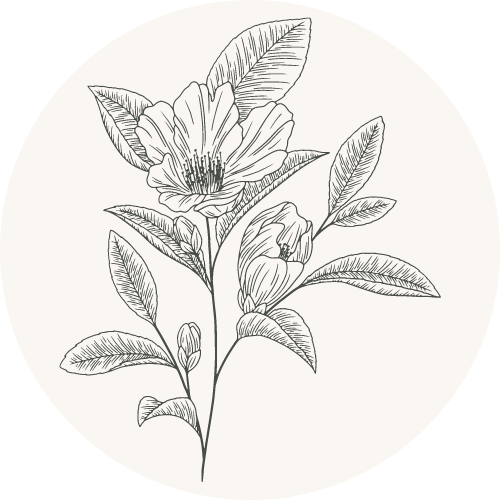 Bouje Finance logo