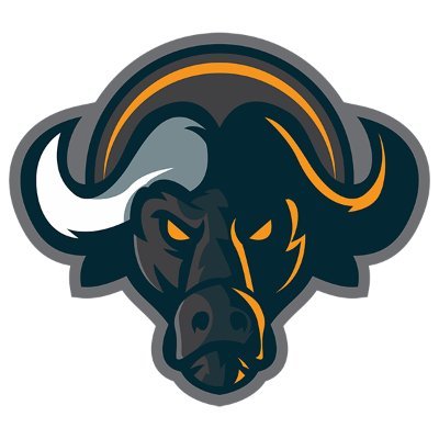 Buffaloswap logo