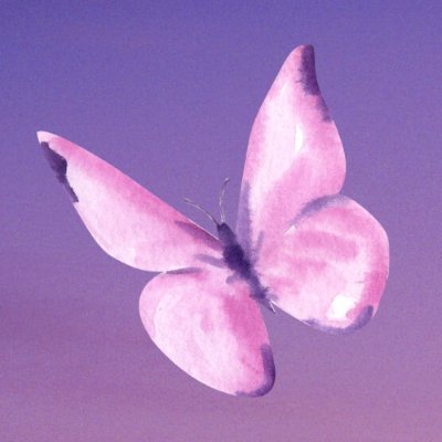 Butterfly Finance logo