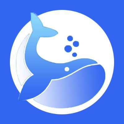 BWSWAP logo