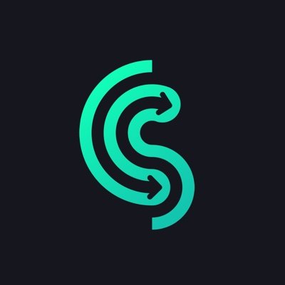 Coinswap Space logo