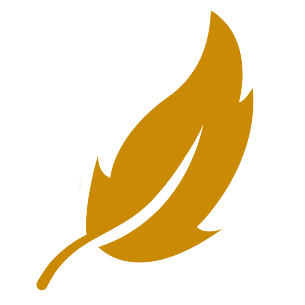 Debets logo