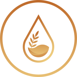ENKI Protocol logo