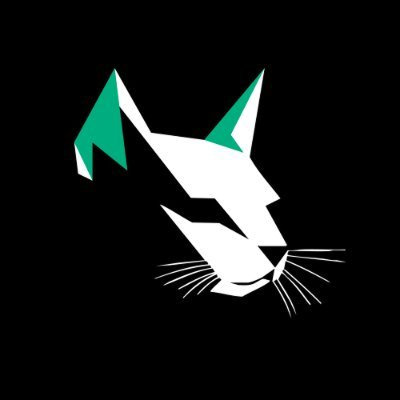 Logo of Kittenswap Finance