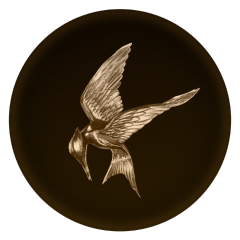 Mockingbird logo