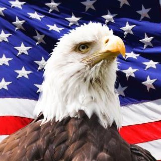 Murica logo