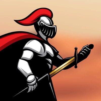 Paladin DAO logo