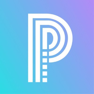 Pay Protocol logo