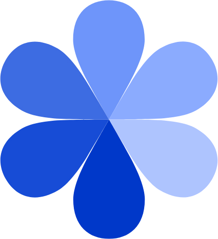Raindex logo