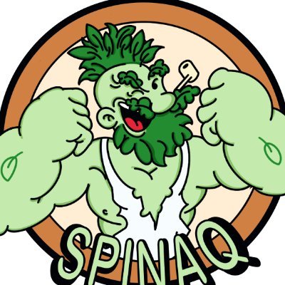 SpinaqDex logo