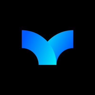 Splash Protocol logo