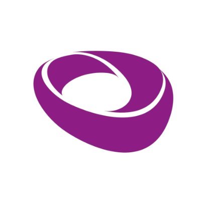 Stip Flip logo