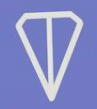 TON Locker logo