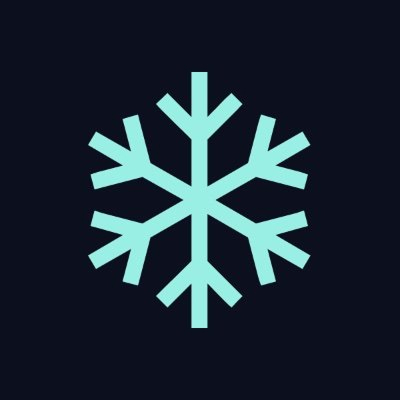 Winter Walrus logo